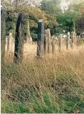  ??  ?? The long grass at Duke Street Cemetery