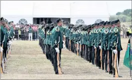  ??  ?? The Presidenti­al Guard stand to attention during the event.