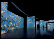  ??  ?? Luce e buio L’inedita visione in 3D delle proiezioni delle opere di Van Gogh