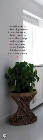  ??  ?? More than just a splash of greenery in your bedroom, plants can act as air purifiers, help reduce stress and boost your mood. Include philodendr­on in your mix of plants.
