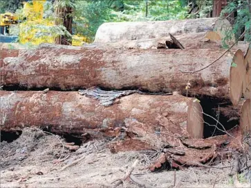  ?? Pacific Gas & Electric Co. ?? PG&amp;E donated more than 100 logs to the group tasked with building this year’s Burning Man temple.