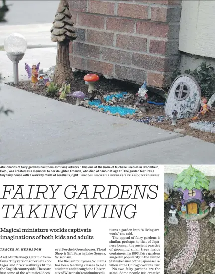 ?? PHOTOS: MICHELLE PEEBLES/THE ASSOCIATED PRESS ?? Aficionado­s of fairy gardens hail them as “living artwork.” This one at the home of Michelle Peebles in Broomfield, Colo., was created as a memorial to her daughter Amanda, who died of cancer at age 12. The garden features a tiny fairy house with a walkway made of seashells, right.
