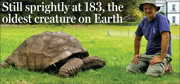  ??  ?? New lease of life: Jonathan the giant tortoise, believed to be the world’s oldest living land animal, is pictured with St Helena vet Dr Joe Hollins, who created his special diet