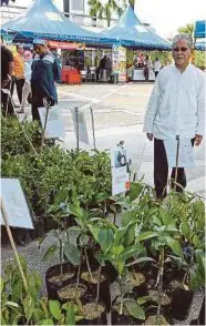  ??  ?? GERAI jualan anak pokok turut disediakan.