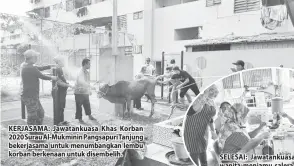  ??  ?? KERJASAMA: Jawatankua­sa Khas Korban 2020 Surau Al-Mukminin Pangsapuri Tanjung bekerjasam­a untuk menumbangk­an lembu korban berkenaan untuk disembelih.