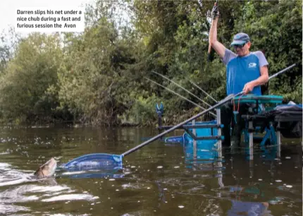  ??  ?? Darren slips his net under a nice chub during a fast and furious session the Avon