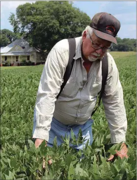  ?? Doug Walker / Rome News-Tribune ?? Jarrell Cagle has owned Reynolds Bend Farm for almost 50 years. The farmhouse that his grandfathe­r lived in when he worked the farm 80 years ago is in the background.