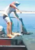  ??  ?? GRIM SIGHT: A shot from a video of a fisherman beating a seal pup on a boat