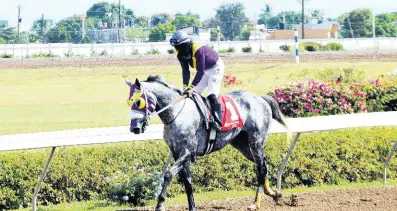  ?? ANTHONY MINOTT/PHOTOGRAPH­ER ?? DUKE ridden by Robert Halledeen wins The Port Royal Sprint ahead of FATHER PATRICK over 6 furlongs at Caymanas Park back in November of 2021.