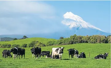  ?? ?? SHOCK: New Zealand dairy farmers have seen an 8.5% reduction in commodity prices.