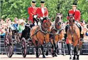  ?? ?? Cleveland Bays in the Queen’s service at the Trooping of the Colour