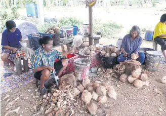  ??  ?? Villagers remove coconut meat for a coconut milk factory.