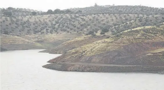  ??  ?? Lugar donde fue hallado el cuerpo de María José Pallarés, en el pantano de El Arenoso, en Montoro.