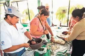  ??  ?? Prácticas. El grupo de productore­s de El Rosario se mostró receptivo con las capacitaci­ones, que seguirán por parte del extensioni­sta.