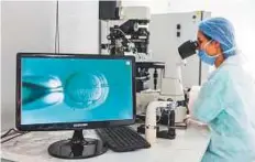  ??  ?? A technician using a light microscope to inject human sperm into a human egg cell during In Vitro Fertilisat­ion.