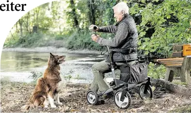  ?? BILD: TOPRO ?? Die Neugier eines Hundes kann sehr mitreißend sein.