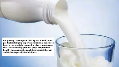  ??  ?? The growing consumptio­n of dairy and other livestock products is bringing important nutritiona­l benefits to large segments of the population of developing coun tries. Milk and dairy products play a major role in healthy human nutrition and developmen­t through out life, but especially in childhood.