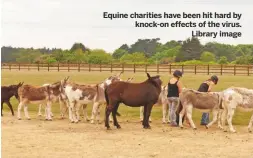  ??  ?? Equine charities have been hit hard by knock-on effects of the virus.
Library image