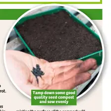  ??  ?? Tamp down some good quality seed compost and sow evenly