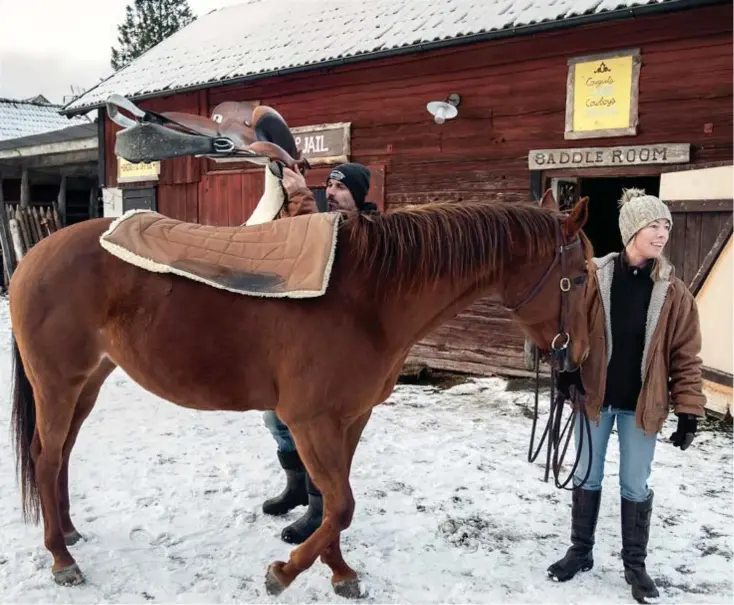  ??  ?? LUGN MEN SNABB. Quarterhäs­ten är en amerikansk ras som är snabb ”från noll till hundra”.