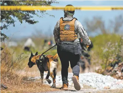  ?? REUTERS ?? Fuerzas especiales con apoyo de perros trabajan en el predio.