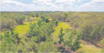  ?? RICARDO RAMIREZ BUXEDA/ORLANDO SENTINEL ?? High Oaks Ranch is part of a group of rural properties in Seminole County, just north of the Orange County line and east of the Econlockha­tchee River, that are proposed for the River Cross developmen­t.