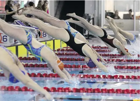  ?? DAN JANISSE ?? Competitor­s in the girls over 15 years old 50-metre freestyle dive into the pool during the Windsor and Essex County Secondary Schools Athletic Associatio­n swim championsh­ips on Tuesday at the Windsor Internatio­nal Aquatic and Training Centre.