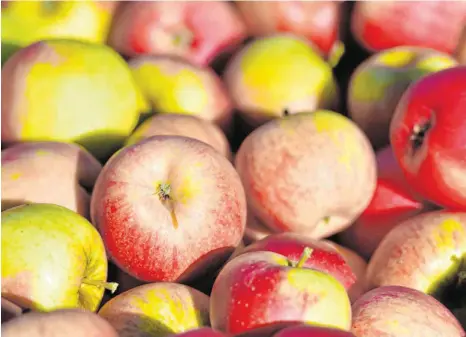  ?? FOTO: PATRICK PLEUL/DPA ?? Auch für Obst müssen Verbrauche­r tiefer in die Tasche greifen. Bei Äpfeln liegt es an der knapper ausgefalle­nen Ernte vergangene­s Jahr.