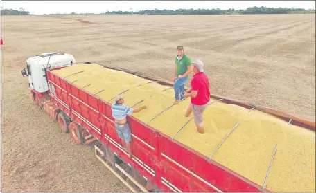  ??  ?? La cosecha de soja genera alegría en los productore­s cuando está camino al silo, tal como se aprecia en la foto. “Hasta que la soja no llegue al silo, nada es seguro y todo se podría perder”, según siempre aclara Héctor Cristaldo.