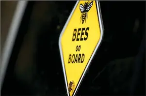  ?? The Associated Press ?? SWARM SQUAD: A bee rests on a yellow sign that reads “Bees on Board” on beekeeper Sean Kennedy’s truck as he helps capture a swarm of honeybees and relocate them to a beehive on May 1.