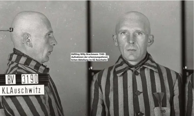  ??  ?? Häf ling Willy Brachmann 1940: Aufnahmen der erkennungs­dienstlich­en Abteilung im KZ Auschwitz