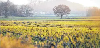  ?? FOTO: ANDREAS SPENGLER ?? So wird es kaum bleiben: Doch wie soll das Gebiet im Rißtal in Zukunft aussehen?