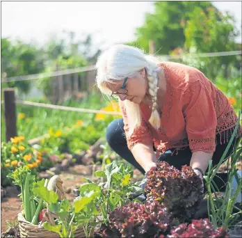  ?? PEXELS ?? Gardening organicall­y at home and supporting local farmers has a positive impact on the environmen­t.