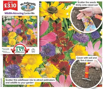  ??  ?? Scatter this wildflower mix to attract pollinator­s and wildlife to your garden
Scatter the seeds thinly onto raked soil
Cover with soil and firm it down