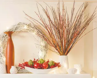  ?? CHRIS BROWN/ PROVEN WINNERS ?? Branches of shrub dogwoods can be cut and brought indoors to use as a decor feature. Colourful stems add a bright pop of nature to interior spaces.