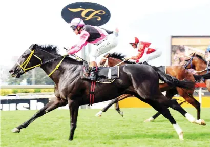  ?? Picture: JC Photograph­ics ?? DRAW CONCERNS. Piere Strydom will be riding Surcharge in today’s R2-million SA Classic over 1800m at Turffontei­n but will need luck to overcome his No 14 barrier position.
