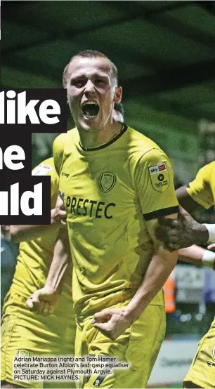  ?? PICTURE: MICK HAYNES. ?? Adrian Mariappa (right) and Tom Hamer celebrate Burton Albion’s last-gasp equaliser on Saturday against Plymouth Argyle.