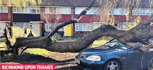  ??  ?? Wild: High winds brought down trees including this one in south-west London, over the weekend – now more is forecast