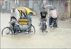  ?? SAMEER SEHGAL AND BHARAT BHUSHAN/HT ?? (Left) A farmer at Verka in Amritsar checking his paddy crop that was flattened by heavy rain; (above) a man pedals his rickshaw through a waterlogge­d road in a Patiala locality on Monday.