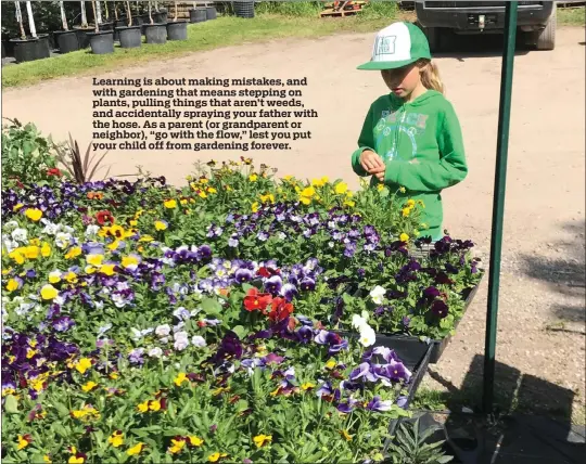  ?? PHOTO BY JEFF LOWENFELS VIA AP ?? A youngster looks over flats of pansies and other spring plants at a nursery. Taking children to a nursery and letting them see and smell the plants — and pick out one to take home — is an experience that can encourage an early interest in gardening.