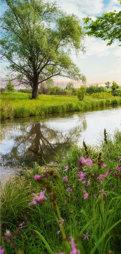  ?? © TORRIPHOTO/MOMENT VIA GETTY IMAGES ?? Right
INTIMATE MOMENTS
Capturing small details within a wider scene can help tell the story of the changing seasons, as the world comes to life during spring