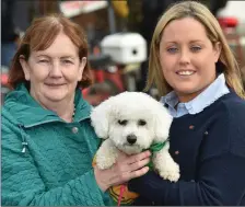  ?? All photos by Domnick Walsh ?? ABOVE: Mary Leahy, Trish Leahy Sheehan and Millie the dog having a great time at the dog show on Sunday at the Moyvane Festival. LEFT: A picture of cuteness as Caíomhe Lenihan from Lisselton with her beloved pup Rachel take a placing in the Moyvane...