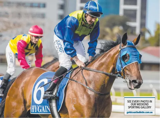  ?? Picture: JERAD WILLIAMS ?? Jet Train, ridden by Luke Rolls, did enough to take out the $15,000 Maiden Plate at the Gold Coast on Saturday.