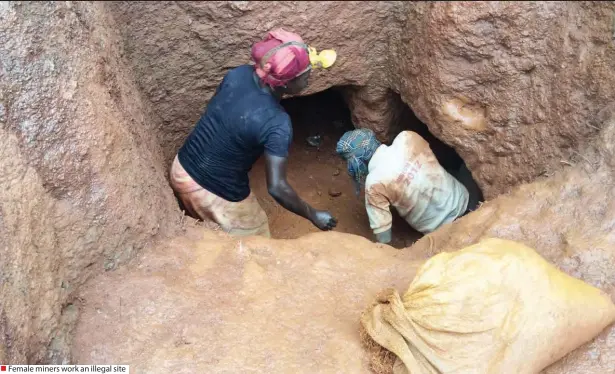  ??  ?? Female miners work an illegal site