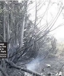  ??  ?? The damage caused by the grass fire in Northolt Park