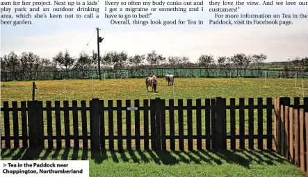  ?? ?? > Tea in the Paddock near Choppingto­n, Northumber­land