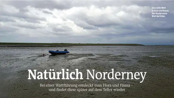  ??  ?? Eine stille Welt in Grau und Braun: das Norderneye­r Watt bei Ebbe.