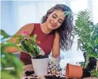  ?? DRAGANA/ISTOCKPHOT­O ?? There are four factors that are key to plant care: temperatur­e, water, light and nutrients. It’s important to do research on your plants so you know how to care for them, especially during the winter months.