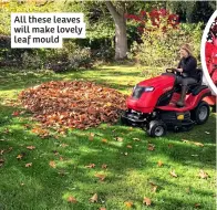  ?? ?? All these leaves will make lovely leaf mould