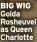  ?? ?? BIG WIG Golda Rosheuvel as Queen Charlotte